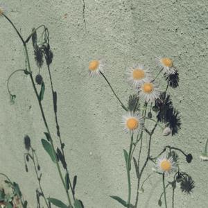 ⅹⅹⅹⅹⅹwwwww美国
